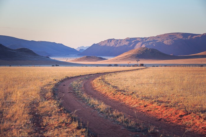 Lianne Ashton Photography