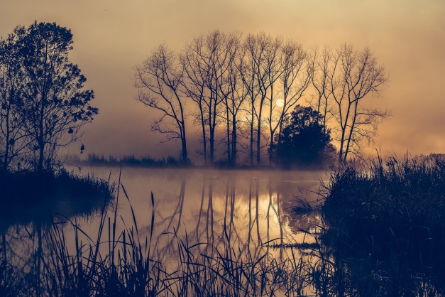 Lianne Ashton Photography