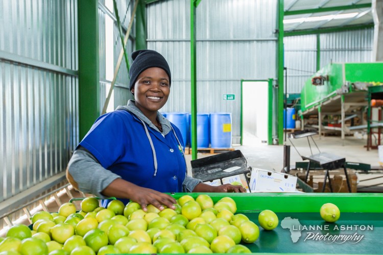 Student at Carisbrook Packhouse