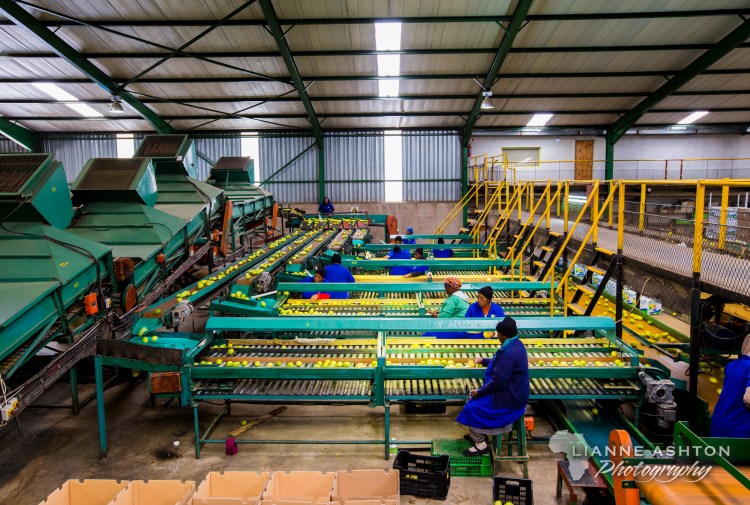 Student at Carisbrook Packhouse