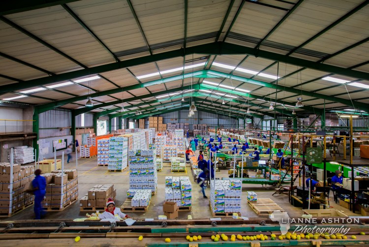 Student at Carisbrook Packhouse