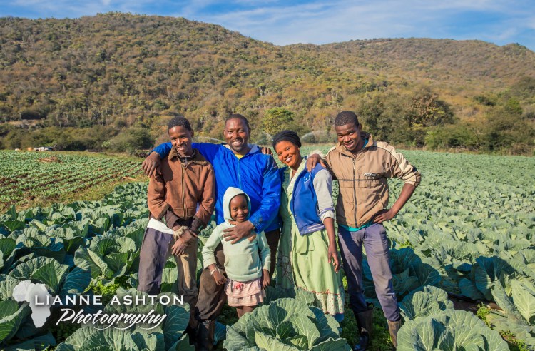 Harry Gwala Agri Mentorship program for smallholder farmers