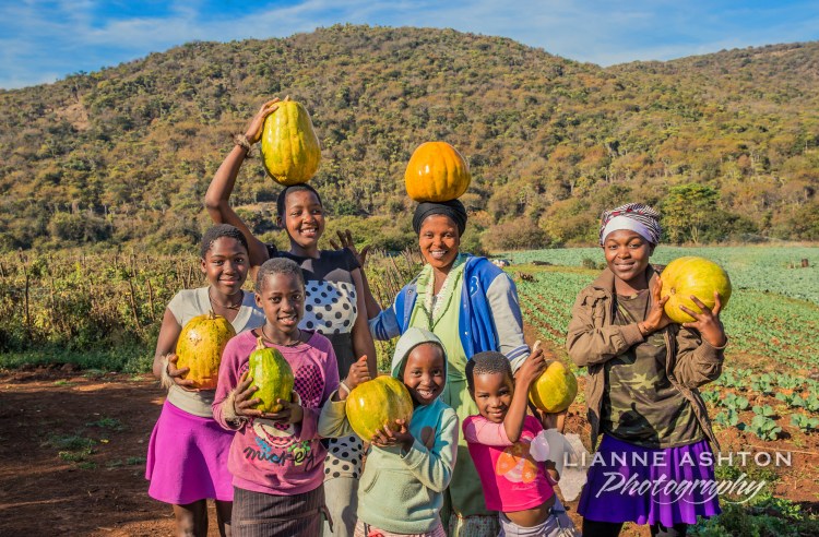 Harry Gwala Agri Mentorship program for smallholder farmers