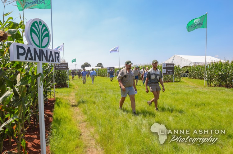 2020 Delmas Extravaganza (15)