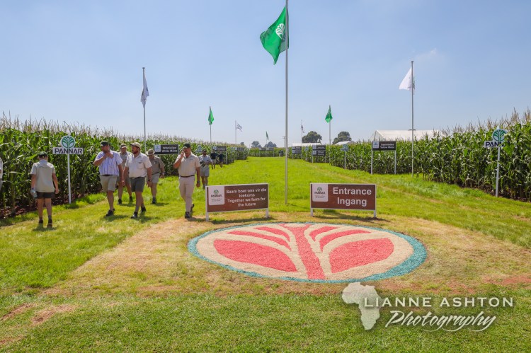 2020 Delmas Extravaganza (3)