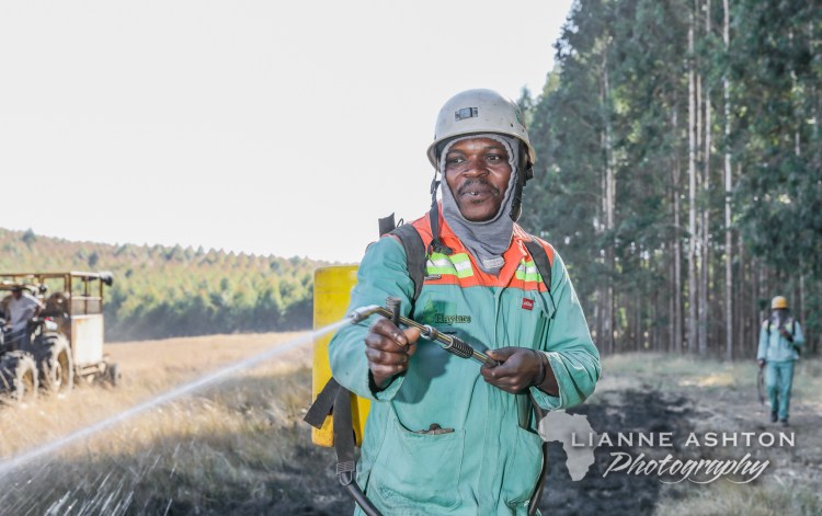 Forestry operations (12)