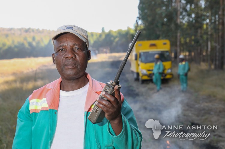 Forestry operations (8)