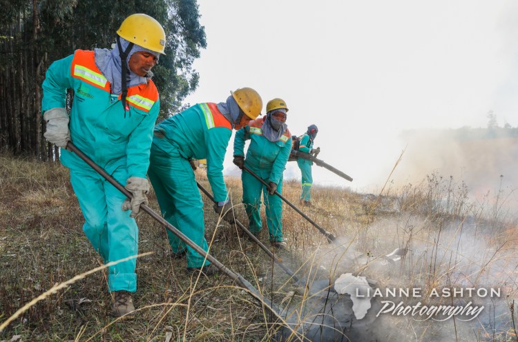 Women fire fighers (2)